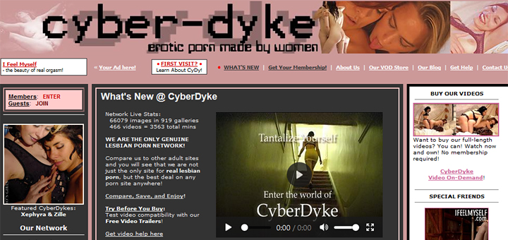 Cyber-Dyke
