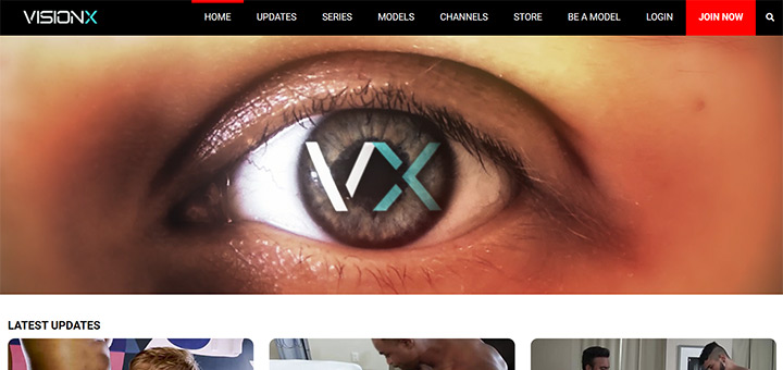 VisionXFlix Password