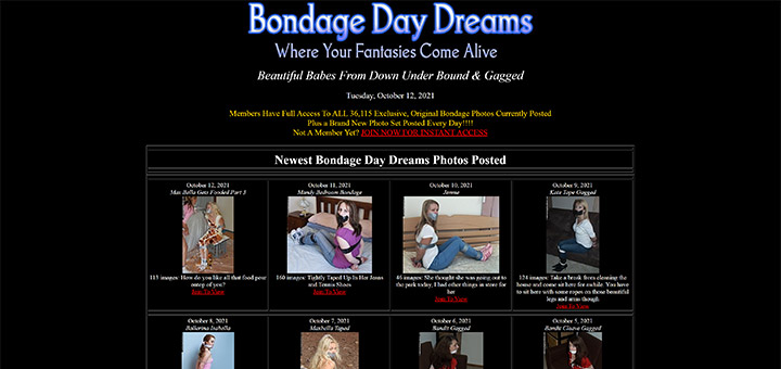 BondageDayDreams Password